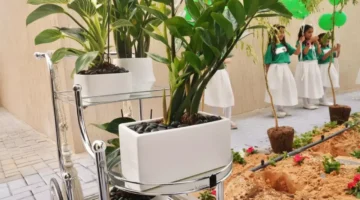 السعودية تُطلق أول أشجار ذكية في العالم.. 25 ألف مدرسة تتحول إلى غابات مراقبة